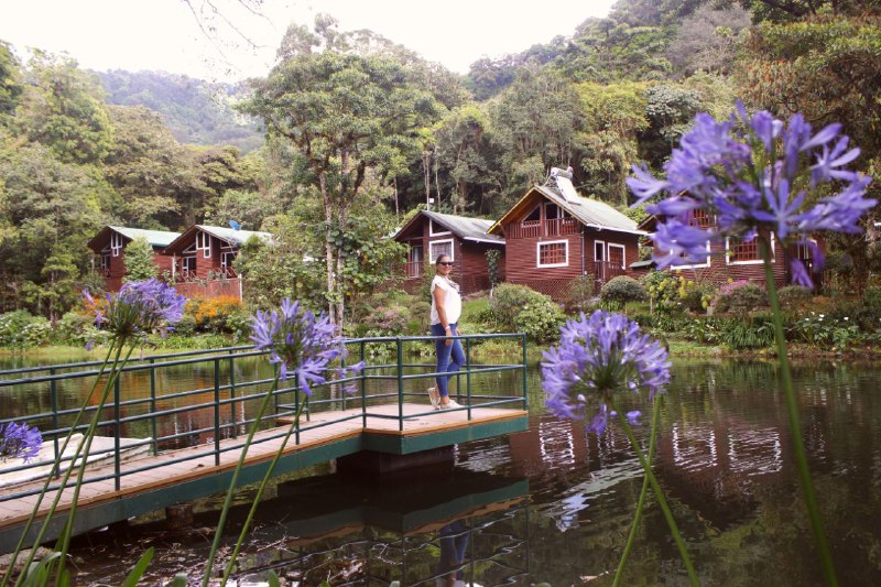 Sueños del Bosque, un hotel de montaña entre lagos, puentes colgantes y cataratas